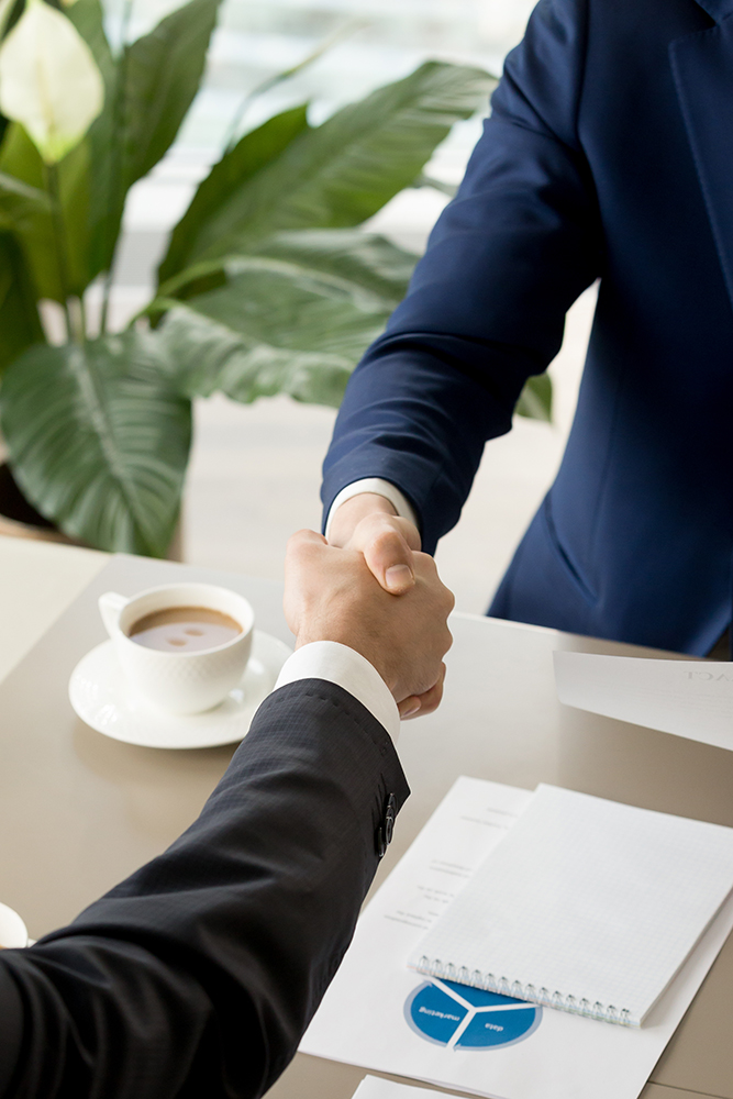 Business partners confirming deal with handshaking